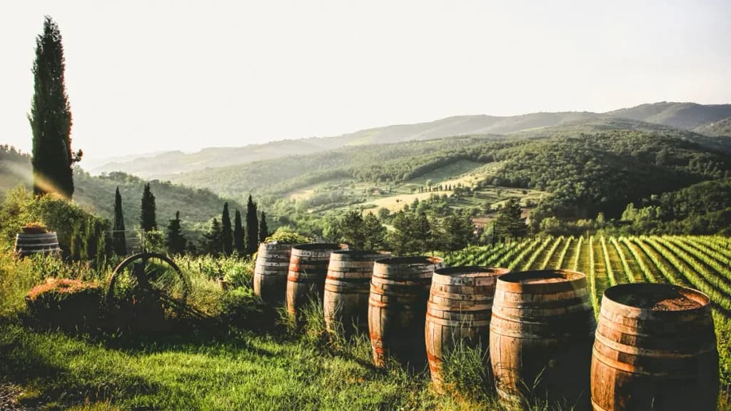 Exclusive Vineyard and Culinary Tours by Private Jet